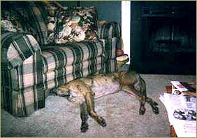 RustyUnderChair.jpg (27982 Byte)